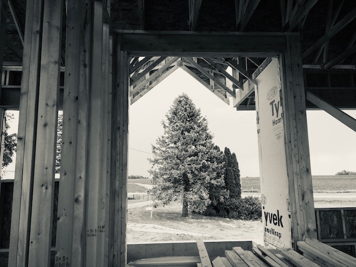 Picture of a spruce tree taken from the inside of an unfinished home